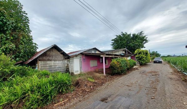 รูป ขายบ้านพร้อมที่ดินแปลงสวย1ไร่2งาน28ตรว.ใกล้ตลาดท่าม่วง ใกล้แหล่งชุมชน - รูปที่ 6/32