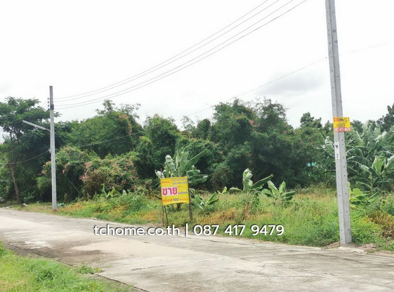 รูป ขายด่วนที่ดิน 102 ตรว. ราคาไม่แพง โครงการชัยพฤกษ์บางนา กม.18 เยื้อง ม.หัวเฉียวเฉลิมพระเกียรติฯ  - รูปที่ 9/16