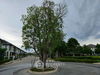 listing thumbnail image 8