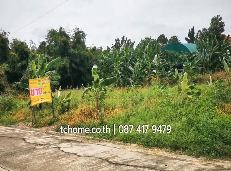รูป ขายด่วนที่ดิน 102 ตรว. ราคาไม่แพง โครงการชัยพฤกษ์บางนา กม.18 เยื้อง ม.หัวเฉียวเฉลิมพระเกียรติฯ  - รูปที่ 10/16