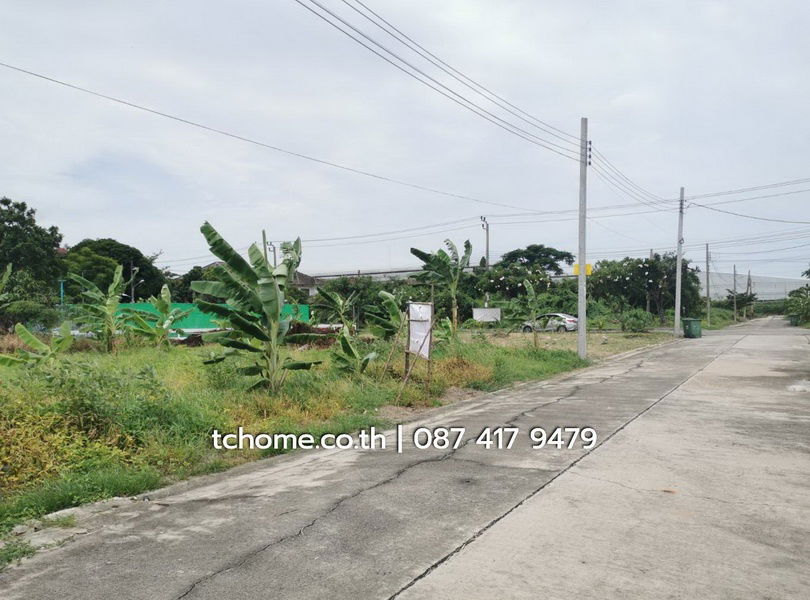 รูป ขายด่วนที่ดิน 102 ตรว. ราคาไม่แพง โครงการชัยพฤกษ์บางนา กม.18 เยื้อง ม.หัวเฉียวเฉลิมพระเกียรติฯ  - รูปที่ 4/16