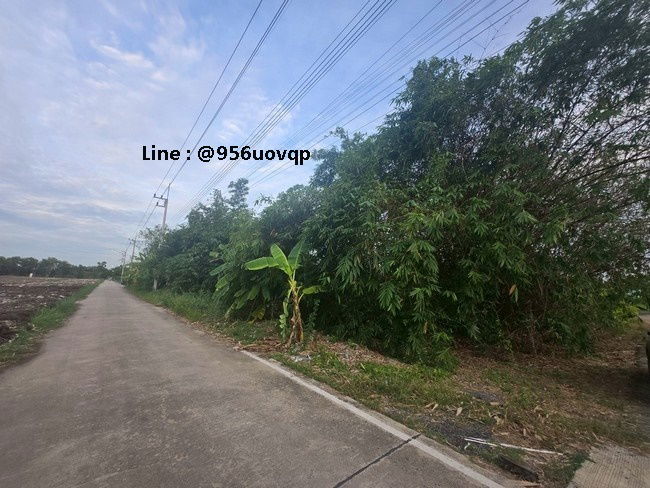 picture sss502 Land for sale, Khlong 3, Khlong Luang, near Wat Dhammakaya - 4/7