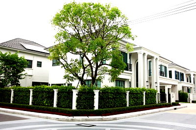 เช่าบ้านเดี่ยว เมกะ บางนา : Call : 096-993-9879 โครงการ เศรษฐสิริ บางนา กม.10 ถนนบางนา-ตราด บ้านสุดหรู แปลงมุม 102 ตารางวา 5 ห้องนอน 6 ห้องน้ำ บ้านติดโซนคลับเฮ้าส์ ตกแต่งครบ