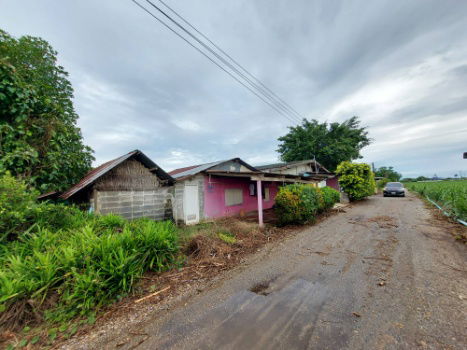 รูป ขายบ้านพร้อมที่ดินแปลงสวย1ไร่2งาน28ตรว.ใกล้ตลาดท่าม่วง ใกล้แหล่งชุมชน - รูปที่ 11/32