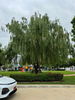 listing thumbnail image 17