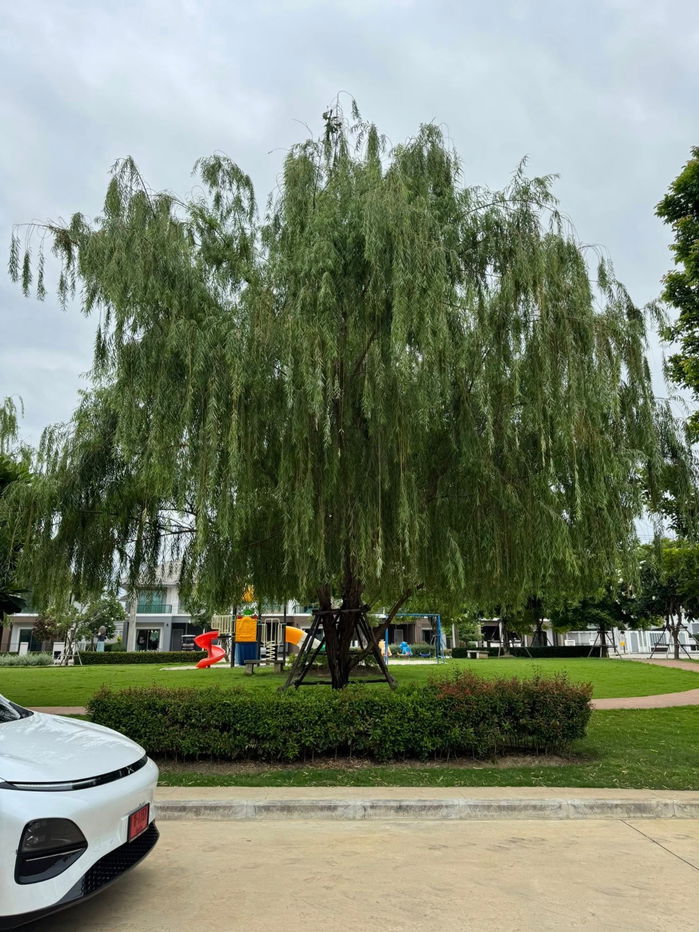รูป บ้านเดี่ยวให้เช่า บ้านติดถนนหลักโครงการ 3 ห้องนอน 3 ห้องน้ำ ตกแต่งครบพร้อมเข้าอยู่  - รูปที่ 18/19