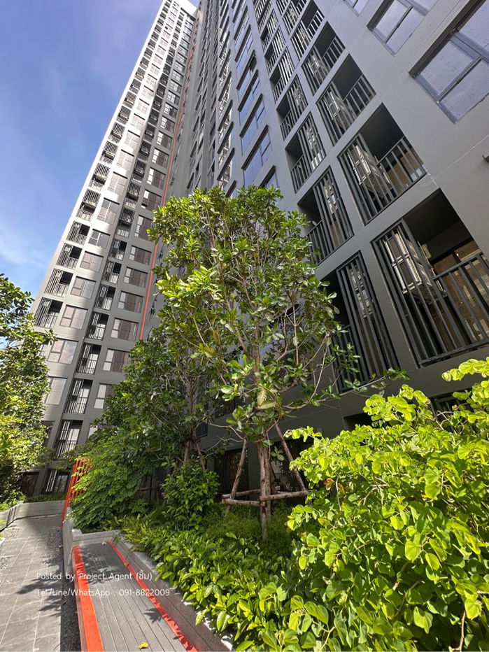 รูป 𝗙𝗢𝗥 𝗥𝗘𝗡𝗧💫𝗢𝗥𝗜𝗚𝗜𝗡 𝗣𝗟𝗨𝗚 & 𝗣𝗟𝗔𝗬 𝗦𝗥𝗜𝗡𝗔𝗞𝗔𝗥𝗜𝗡 ให้เช่าด่วน! คอนโดใหม่ ห้องใหม่มือ 1  ติดถนนศรีนครินทร์ - รูปที่ 19/24