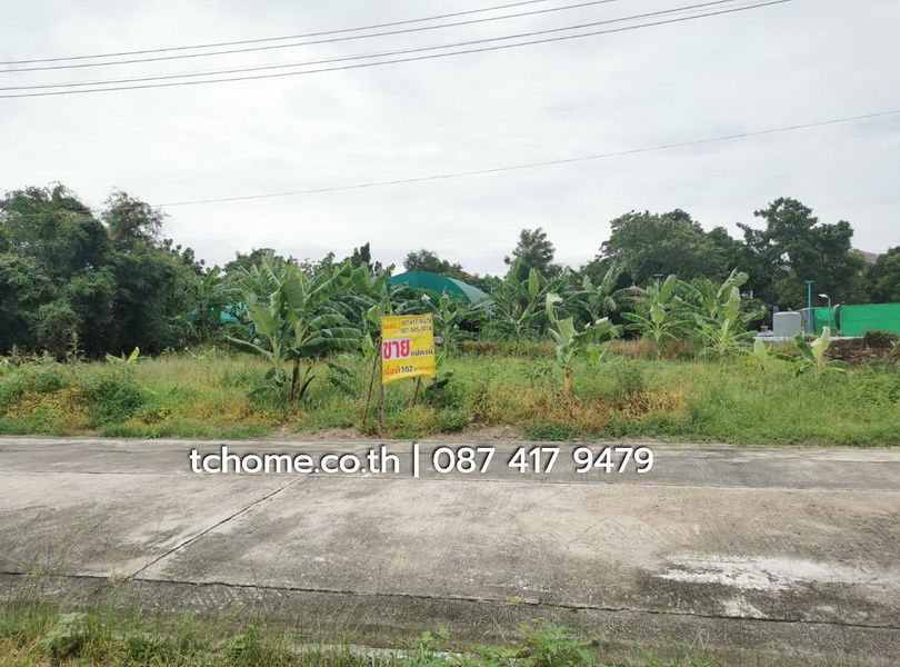 รูป ขายด่วนที่ดิน 102 ตรว. ราคาไม่แพง โครงการชัยพฤกษ์บางนา กม.18 เยื้อง ม.หัวเฉียวเฉลิมพระเกียรติฯ  - รูปที่ 2/16
