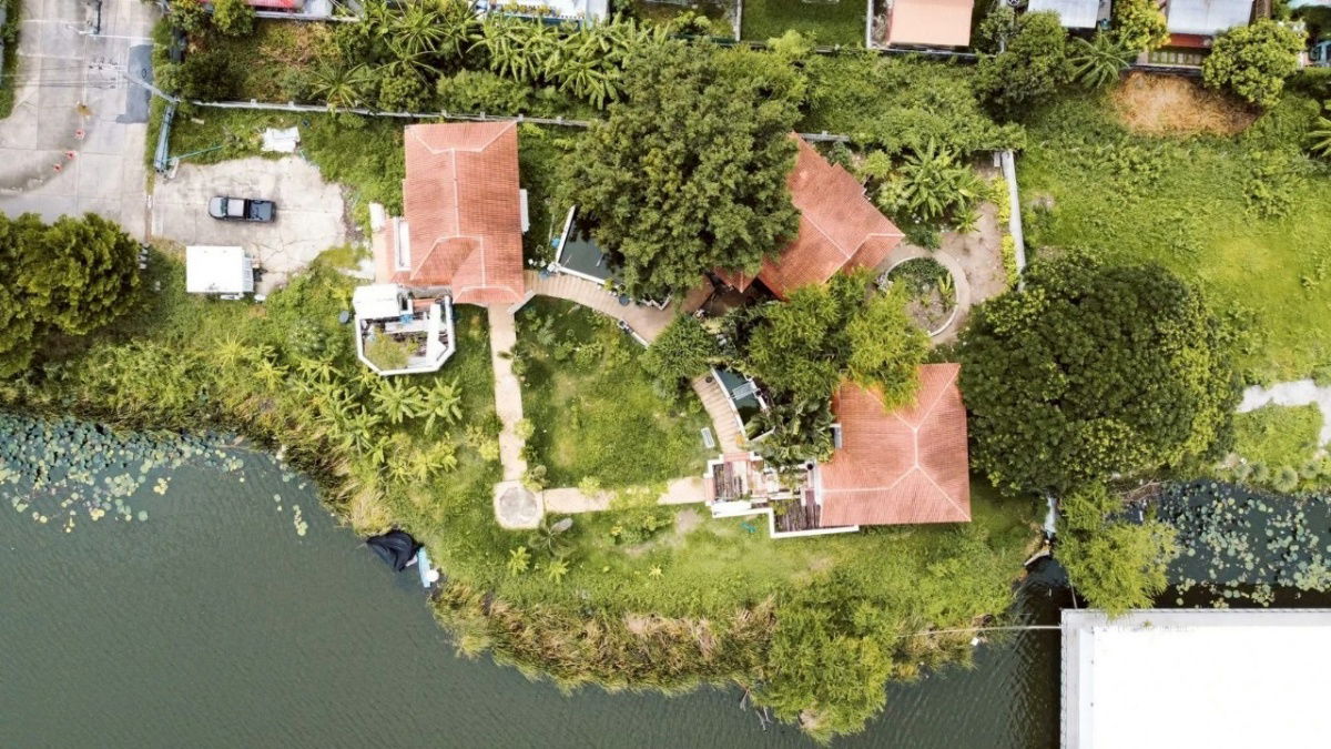 picture Exclusive lakeside garden house - Bang Bua Thong ✨🌿 🌳 1 rai of land 💰 Price: only 30 million baht - 5/22