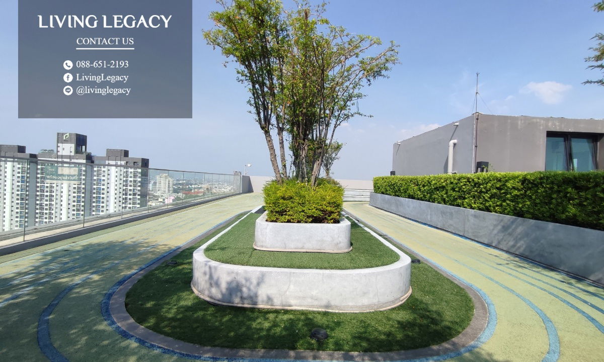 picture SGCW3H Condo For Rent KnightsBridge Collage Ramkhamhaeng 23 Sq.M. Floor 11 line id : @livinglegacy - 13/16