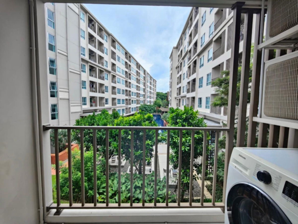 picture ✅ D Condo Rin, pool view, 33 sq m, 12,000 baht, available 12/8/2025☎️064-792-4426 (Ben - 11/13