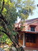 listing thumbnail image 3