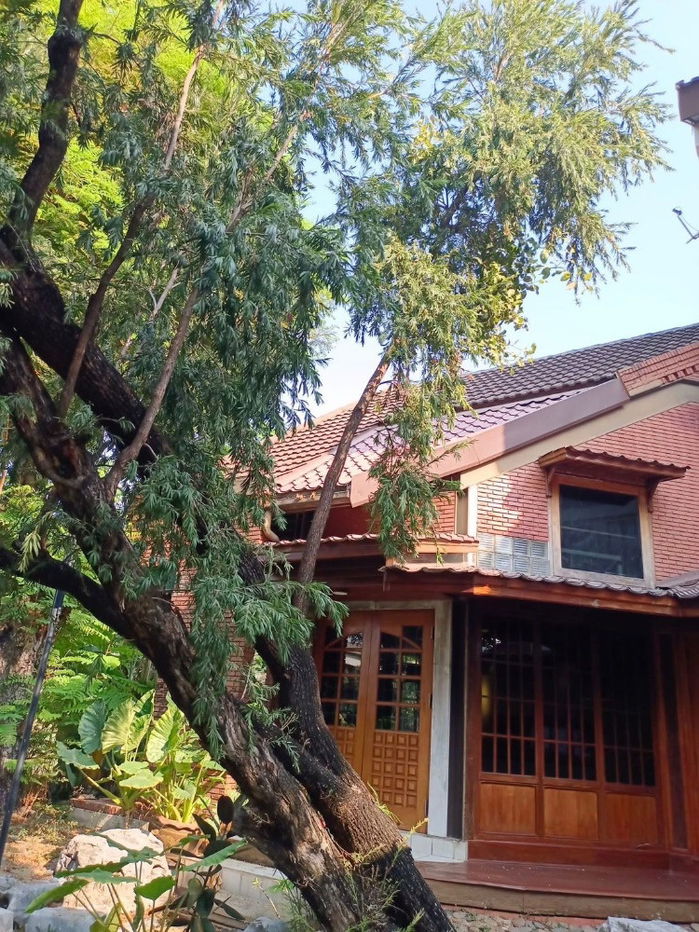 picture 📌 3-story single house, sitting on a 200 square wah plot 📌 - 4/10