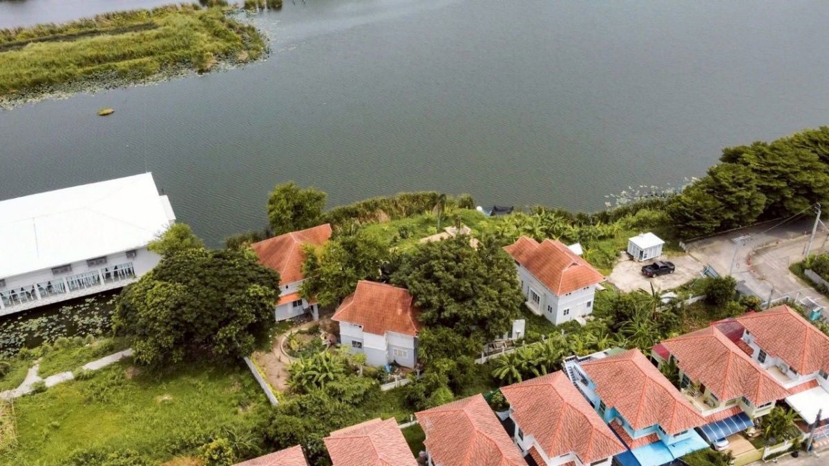 picture Exclusive lakeside garden house - Bang Bua Thong ✨🌿 🌳 1 rai of land 💰 Price: only 30 million baht - 11/22