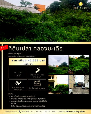 ที่ดิน วิทยาลัยการจัดการเพชรเกษม : ขายที่ดินเปล่า 1 ไร่ 1 งาน ทำเลดี ติดถนนเศรษฐกิจ 1 คลองมะเดื่อ อ.กระทุ่มแบน จ.สมุทรสาคร