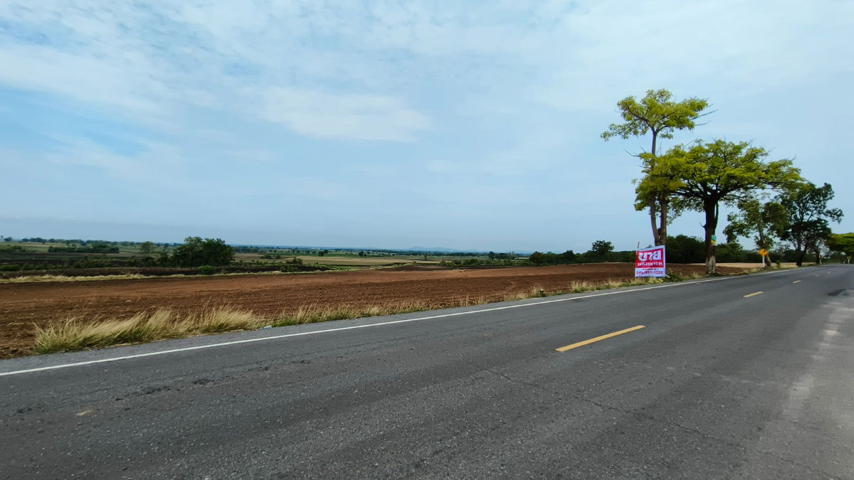 รูป ขายที่ดินติดถนน ที่จังหวัดลพบุรี - รูปที่ 4/9