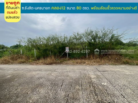 ขายที่ดิน รังสิต-นครนายก คลอง12 ขนาด 80 ตารางวา ถมแล้ว พร้อมล้อมรั้วลวดหนามอย่างดี