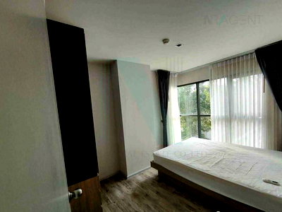 Condos for rent : 🎊 For rent condo ASPEN LASALLE Building B, Floor 3,1 bed room, Room size 35.00 sqm
