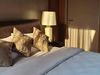 listing thumbnail image 23
