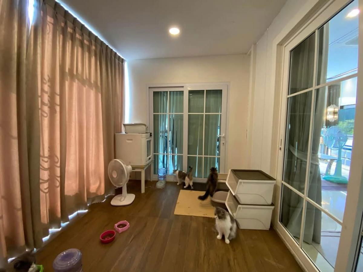 รูป ให้เช่า บ้านเดี่ยว 2 ชั้น หมู่บ้านโครงการหรู แกรนดิโอ ลาดพร้าว-เกษตรนวมินทร์  - รูปที่ 12/12