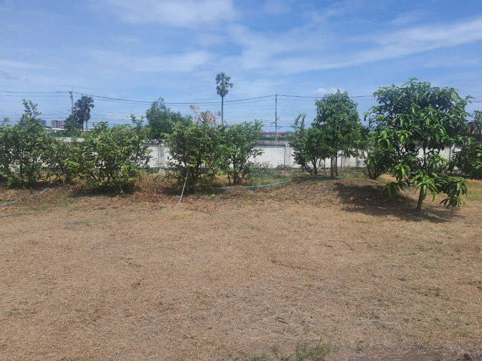 picture Land for sale, 2 rai 237 sq m., filled in, 1 m. higher than the road, with a concrete wall to preven - 4/10