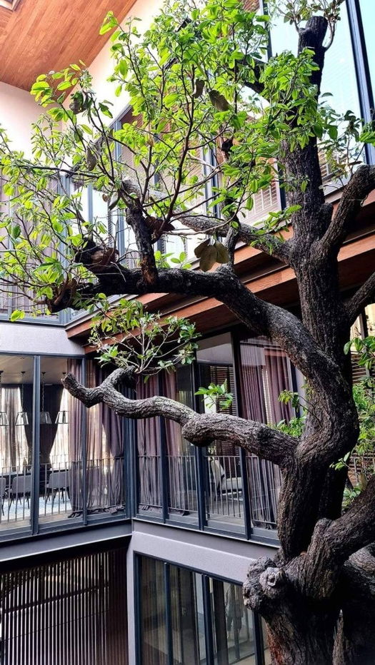 รูป ขายบ้านเดี่ยว 3 ชั้น สไตล์ Unique Modern นาคนิวาส ทำเลดี เงียบสงบ เดินทางสะดวก ใกล้เซ็นทรัลอีสวิลล์ CDC เลียบด่วน รามอินทรา - รูปที่ 15/31