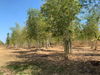 listing thumbnail image 3