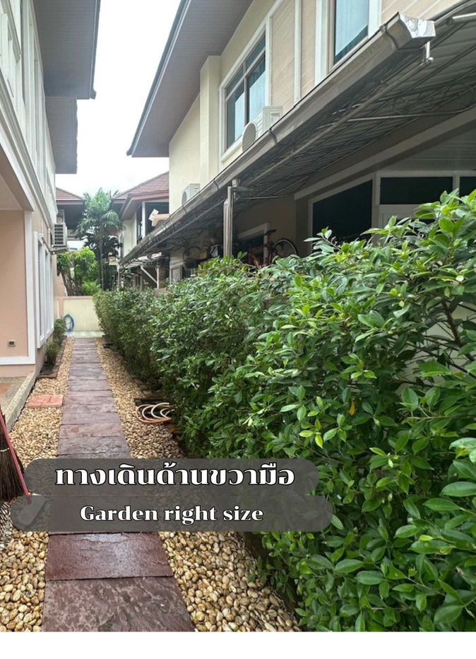 รูป ให้เช่าบ้านเดี่ยว “นนทรี รีเจ้นท์ ราชพฤกษ์” ตรงข้ามเซ็นทรัลเวสต์เกต - พื้นที่กว้าง 280 ตร.ม. พร้อมอยู่ - รูปที่ 8/31
