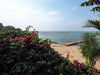 listing thumbnail image 20