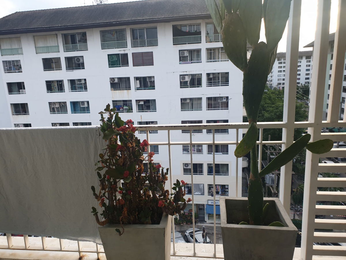 picture For rent, room size 54 sq m., 2 bedrooms, 2 bathrooms, The Nice City Condo, Lat Phrao 130, price 14,000 baht, contact  Line ID: jeabnwcd_3 - 16/63