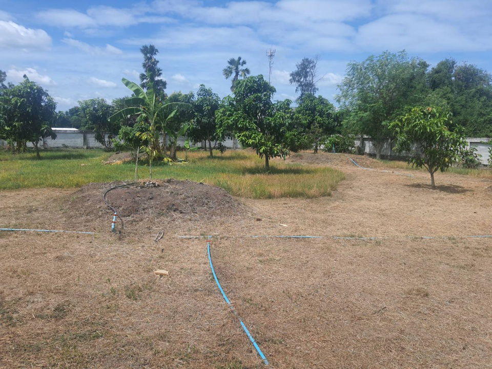 picture Land for sale, 2 rai 237 sq m., filled in, 1 m. higher than the road, with a concrete wall to preven - 3/10