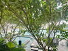 listing thumbnail image 35