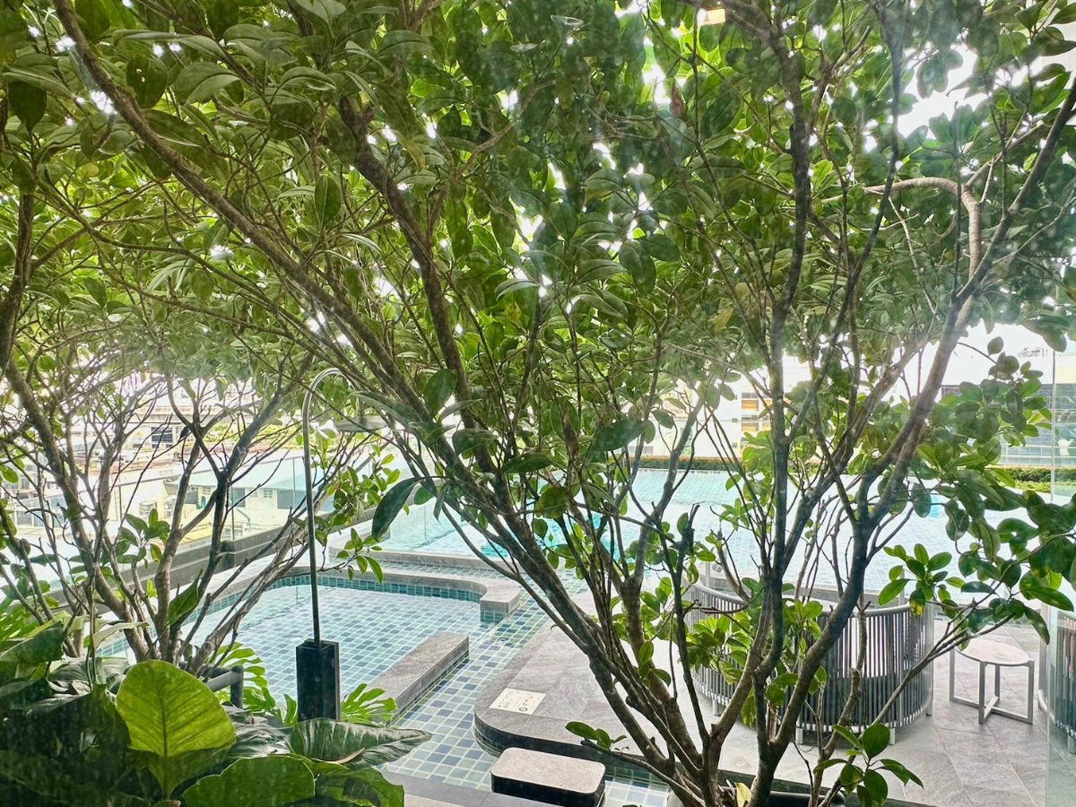 รูป ให้เช่า THE BASE Phetchaburi-Thonglor ห้องสวยติดส่วนกลาง ใกล้ BTS ทองหล่อ - รูปที่ 36/40
