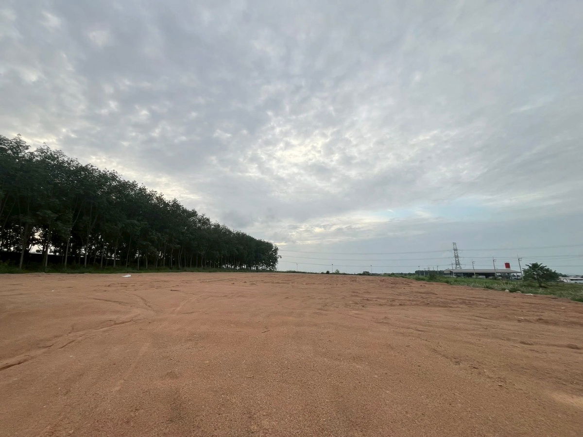 รูป ขายที่ดินในเขตอุตสาหกรรม ระยอง - รูปที่ 3/7