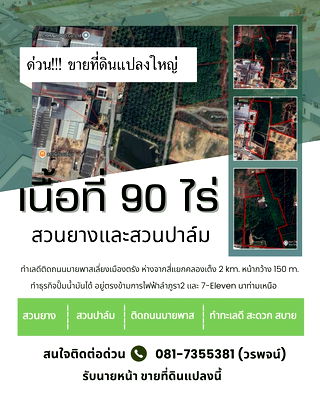 ที่ดิน เมืองตรัง ตรัง : ขายที่ดินแปลงใหญ่ 90 ไร่ | ทำเลทอง อ.เมือง จ.ตรัง