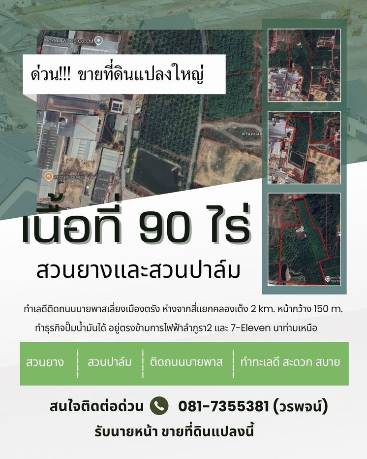 รูป ขายที่ดินแปลงใหญ่ 90 ไร่ | ทำเลทอง อ.เมือง จ.ตรัง - รูปที่ 1/4