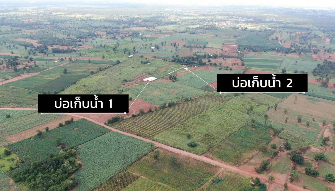 picture Land for Sale – 93 Rai Only 120,000 THB per Rai, Khon Kaen - 3/13