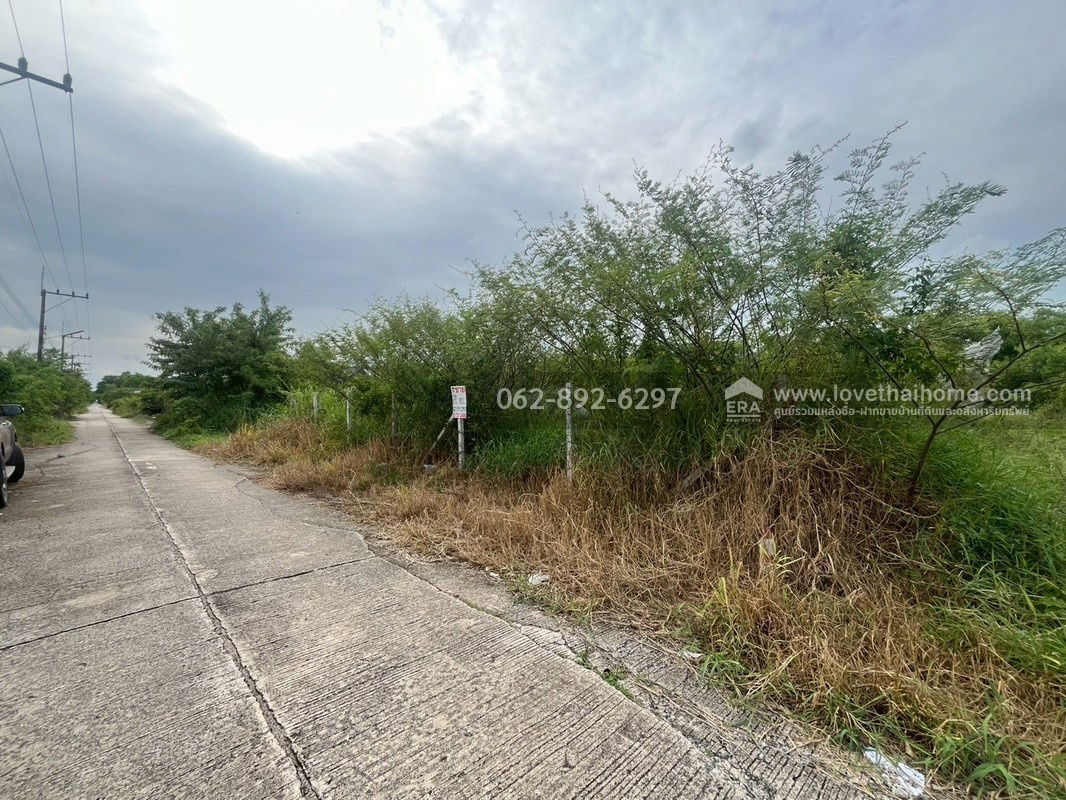 รูป ขายที่ดิน รังสิต-นครนายก คลอง12 ขนาด 80 ตารางวา ถมแล้ว พร้อมล้อมรั้วลวดหนามอย่างดี - รูปที่ 3/9