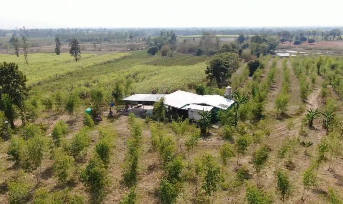 picture Land for Sale – 93 Rai Only 120,000 THB per Rai, Khon Kaen - 7/13