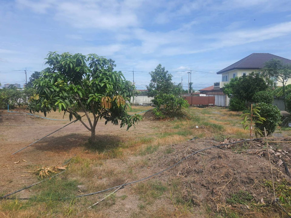 picture Land for sale, 2 rai 237 sq m., filled in, 1 m. higher than the road, with a concrete wall to preven - 5/10
