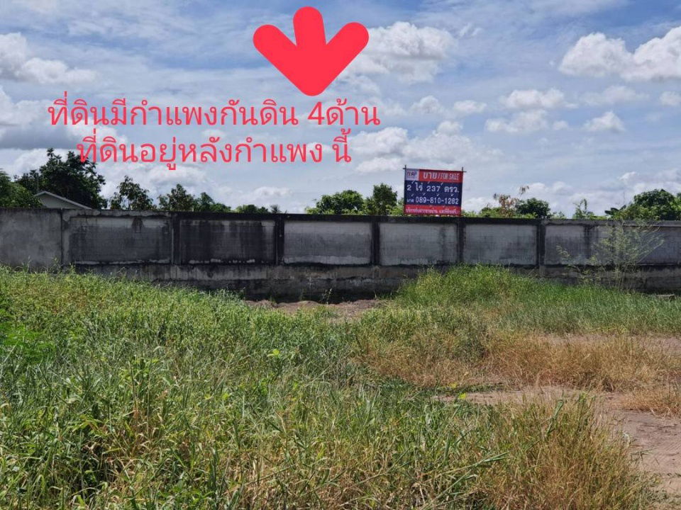picture Land for sale, 2 rai 237 sq m., filled in, 1 m. higher than the road, with a concrete wall to preven - 8/10