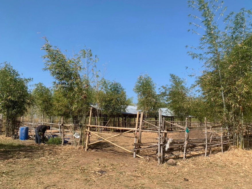 picture Land for Sale – 93 Rai Only 120,000 THB per Rai, Khon Kaen - 11/13