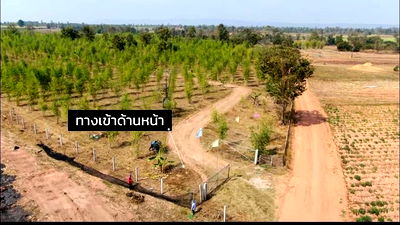 Land for sale Nong Rua Khon Kaen : Land for Sale – 93 Rai Only 120,000 THB per Rai, Khon Kaen