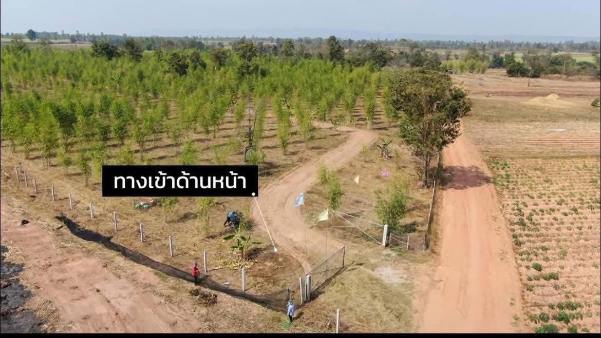 picture Land for Sale – 93 Rai Only 120,000 THB per Rai, Khon Kaen - 1/13