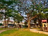 listing thumbnail image 19