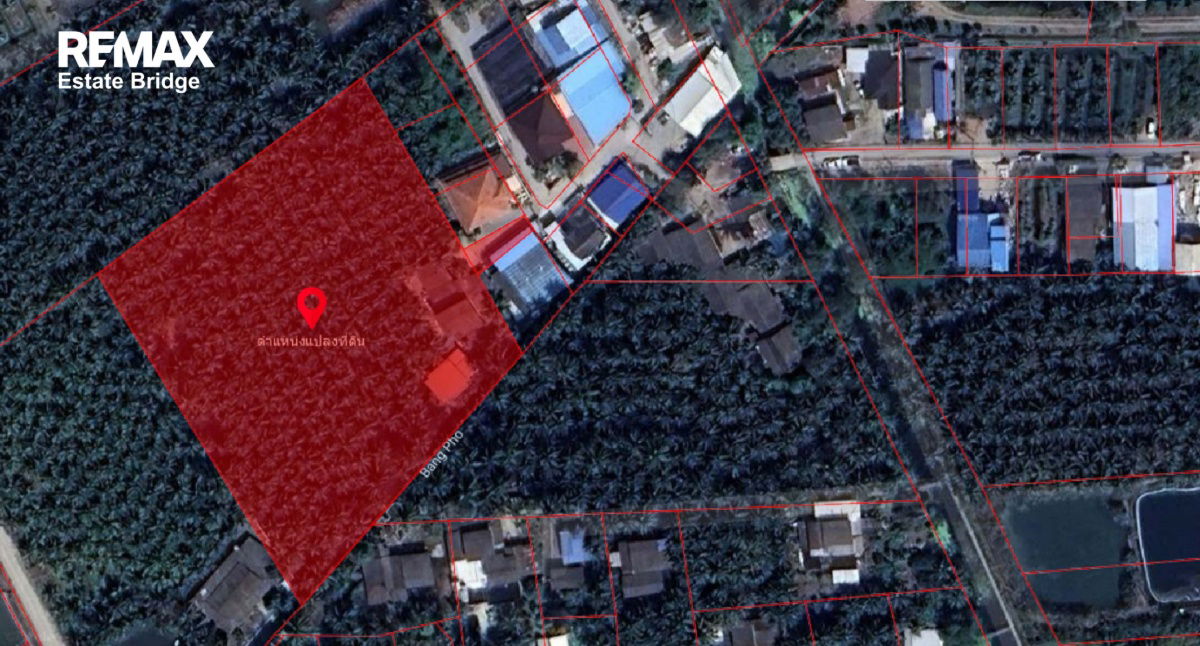 รูป ขายที่ดิน สวนมะพร้าว 5 ไร่ 2 งาน 16 ตรว. พร้อมบ้าน 2 หลัง - รูปที่ 3/7