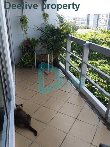 picture DL004870 Condo for rent, The Waterford Sukhumvit 50 near BTS On Nut, ready to move in, call urgently 0656133286 LineID @655ebbvc - 8/8