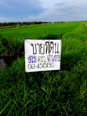 ที่ดิน นครนายก : ขายที่ดิน 9 ไร่  ราคาถูก องครักษ์ นครนายก