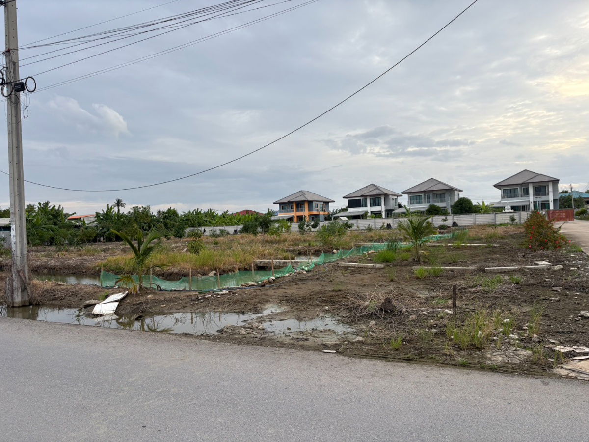 รูป ด่วน! ขายที่ดินเปล่าถมแล้ว กทม บางขุนเทียน ทำเลดีมาก!! - รูปที่ 4/5