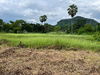 listing thumbnail image 23